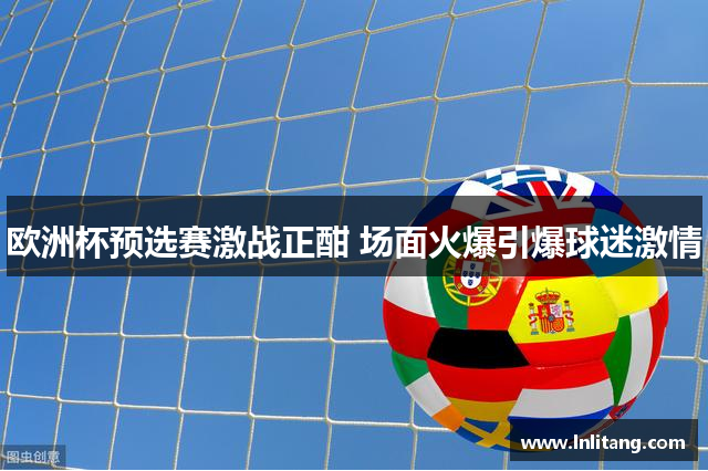 欧洲杯预选赛激战正酣 场面火爆引爆球迷激情