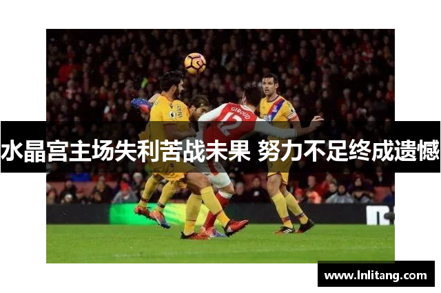 水晶宫主场失利苦战未果 努力不足终成遗憾