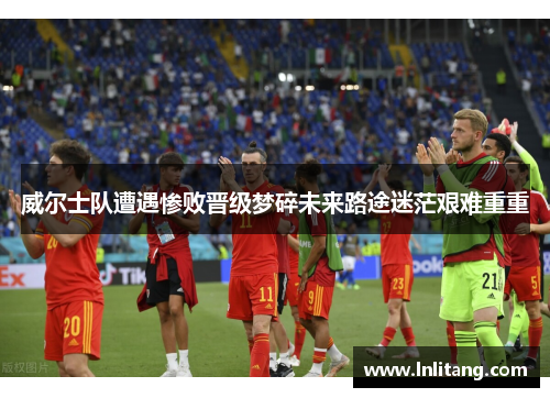 威尔士队遭遇惨败晋级梦碎未来路途迷茫艰难重重