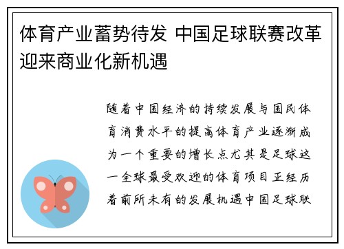体育产业蓄势待发 中国足球联赛改革迎来商业化新机遇