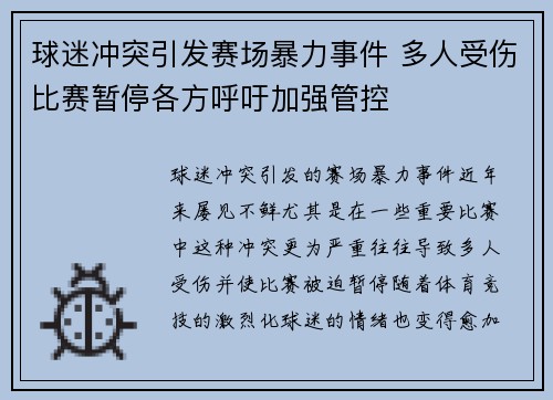 球迷冲突引发赛场暴力事件 多人受伤比赛暂停各方呼吁加强管控